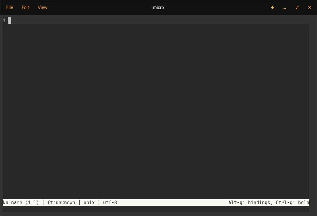 An empty Micro editor window