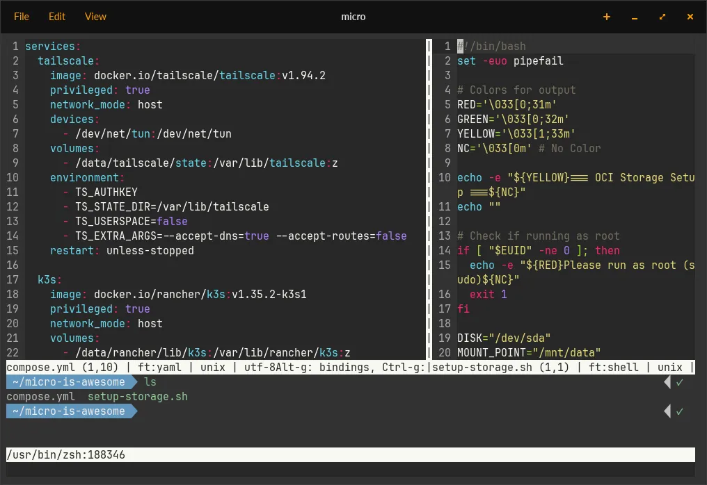Two files open side-by-side in vertically split Micro panes